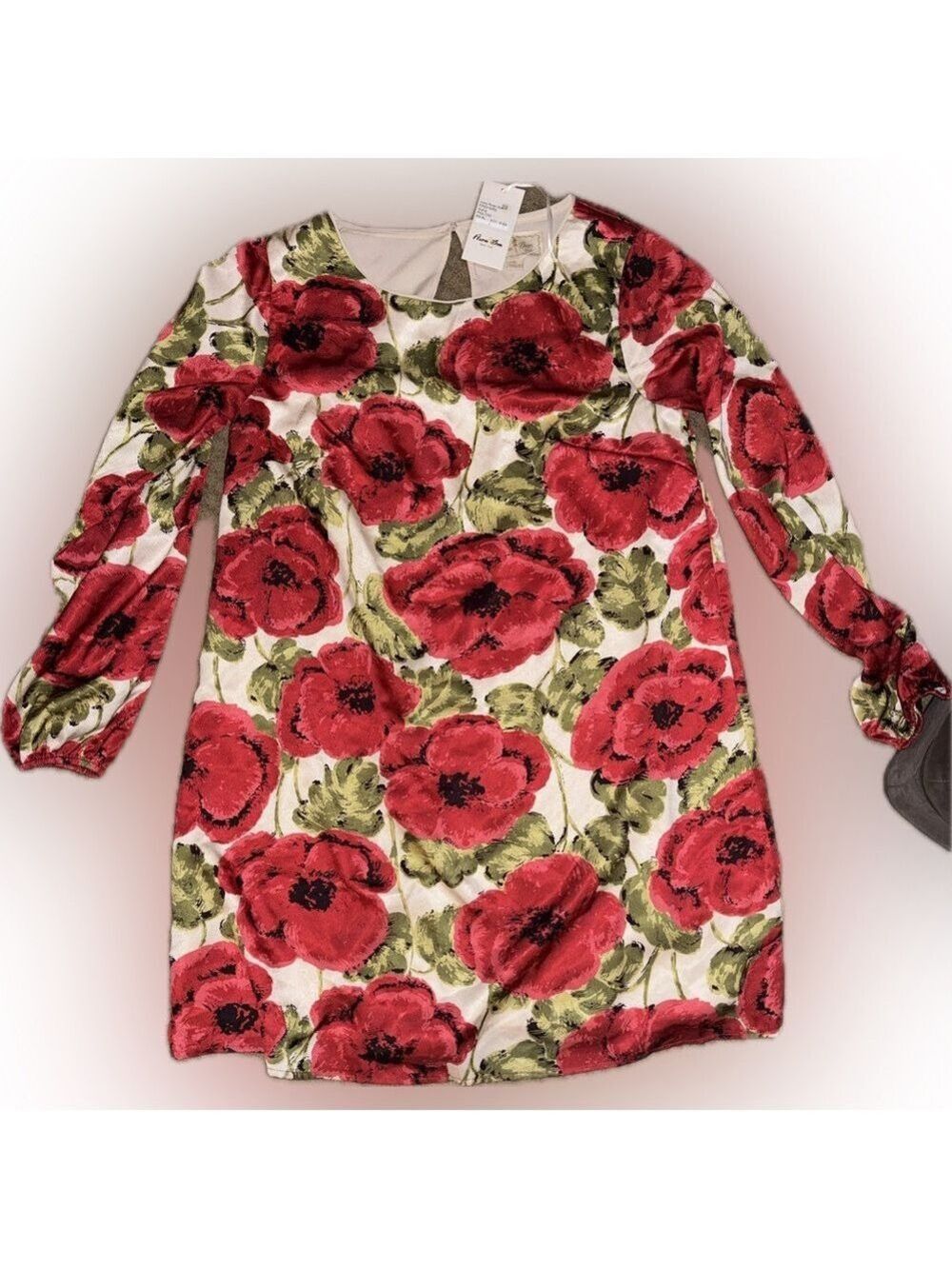 Flora Bea NYC - Boutique Ivory Rose Floral Print Dress - Picture 1 of 4